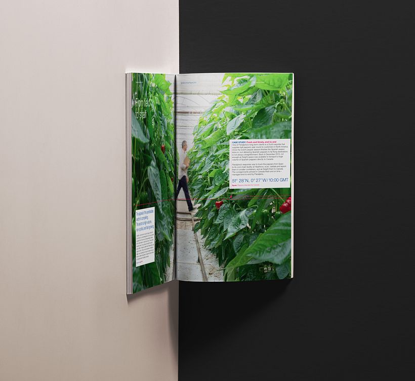 Panalpina icons, infographics and Annual Report 1