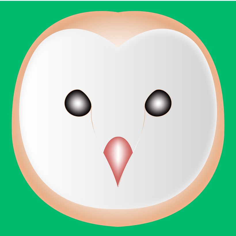 owl head -1