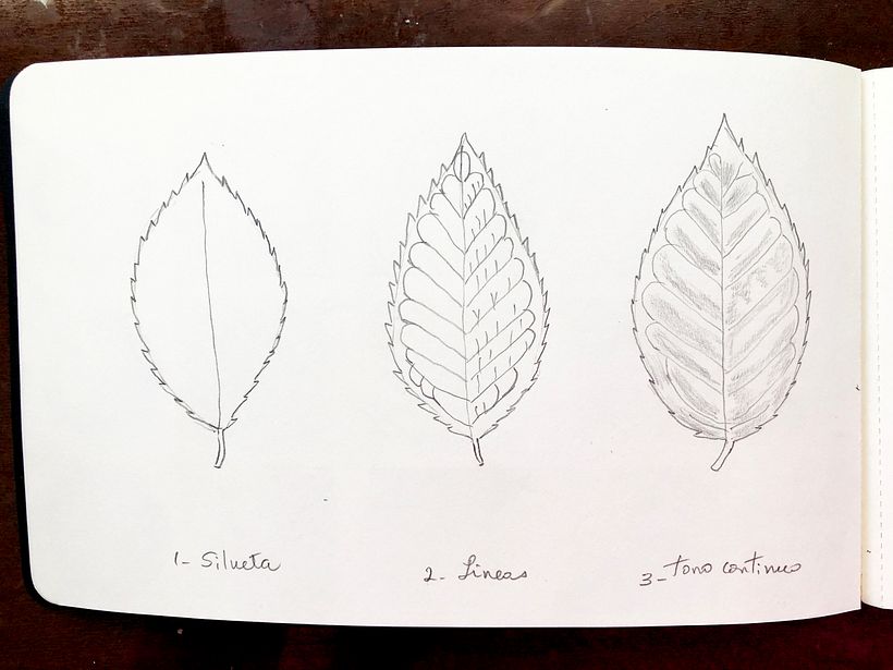 My project in Botanical Watercolor Sketchbook - Nora (Herli18) 4