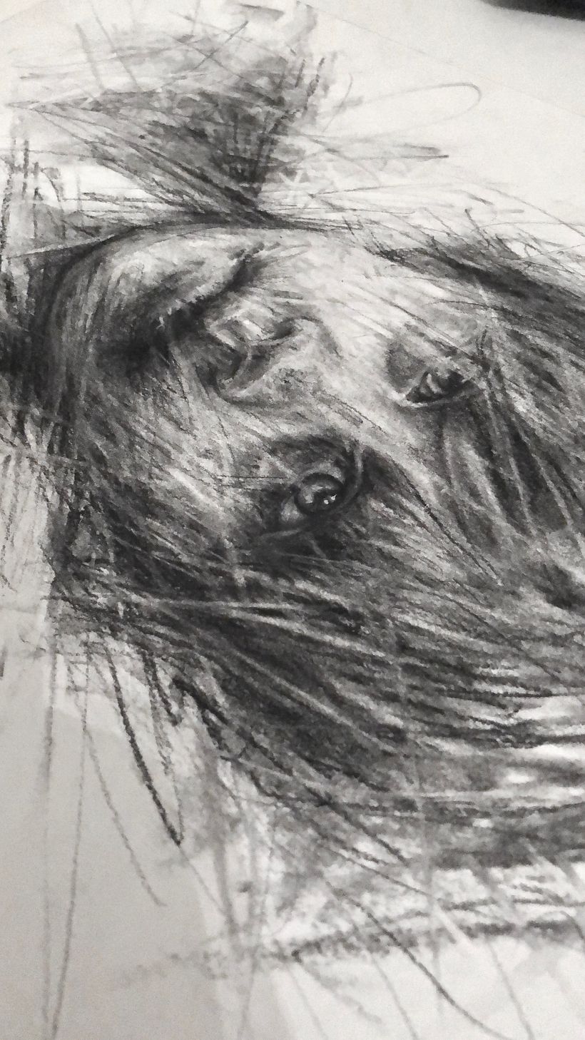 Charcoal Drawing Album Cover 1