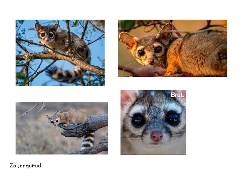 My project in Logo Design: Graphic Simplification and Minimalism course 4