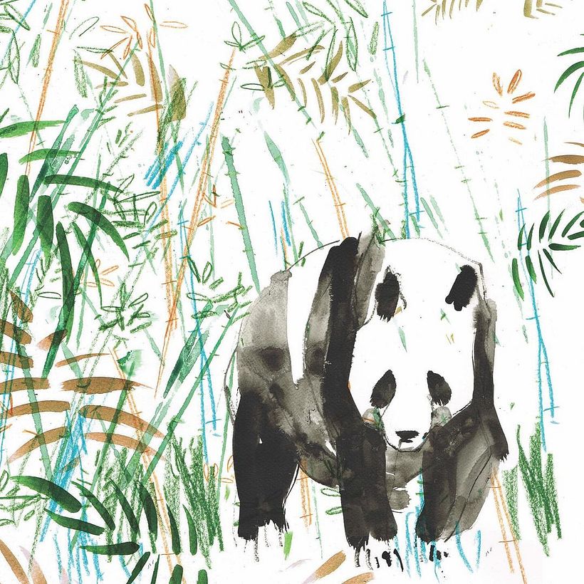 Ilustração de Laura McKendry