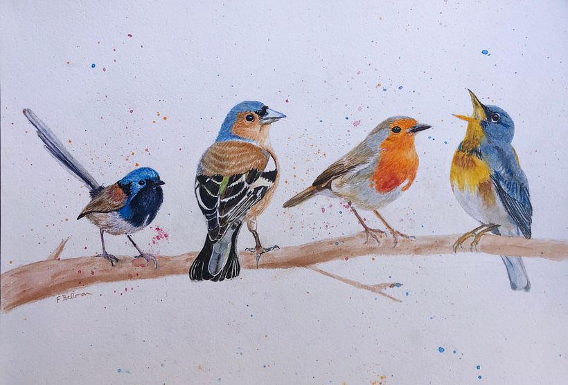 My project in Artistic Watercolor Techniques for Illustrating Birds course 0