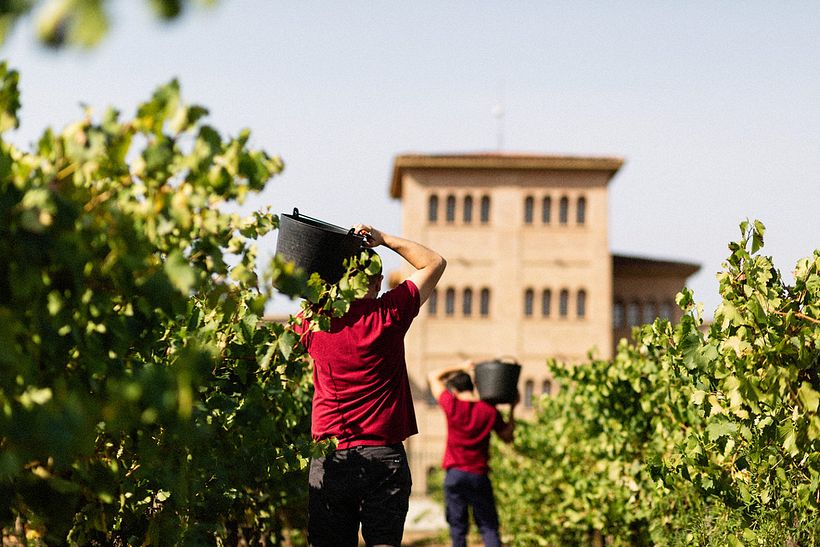 Bodegas Esteban Martín 0