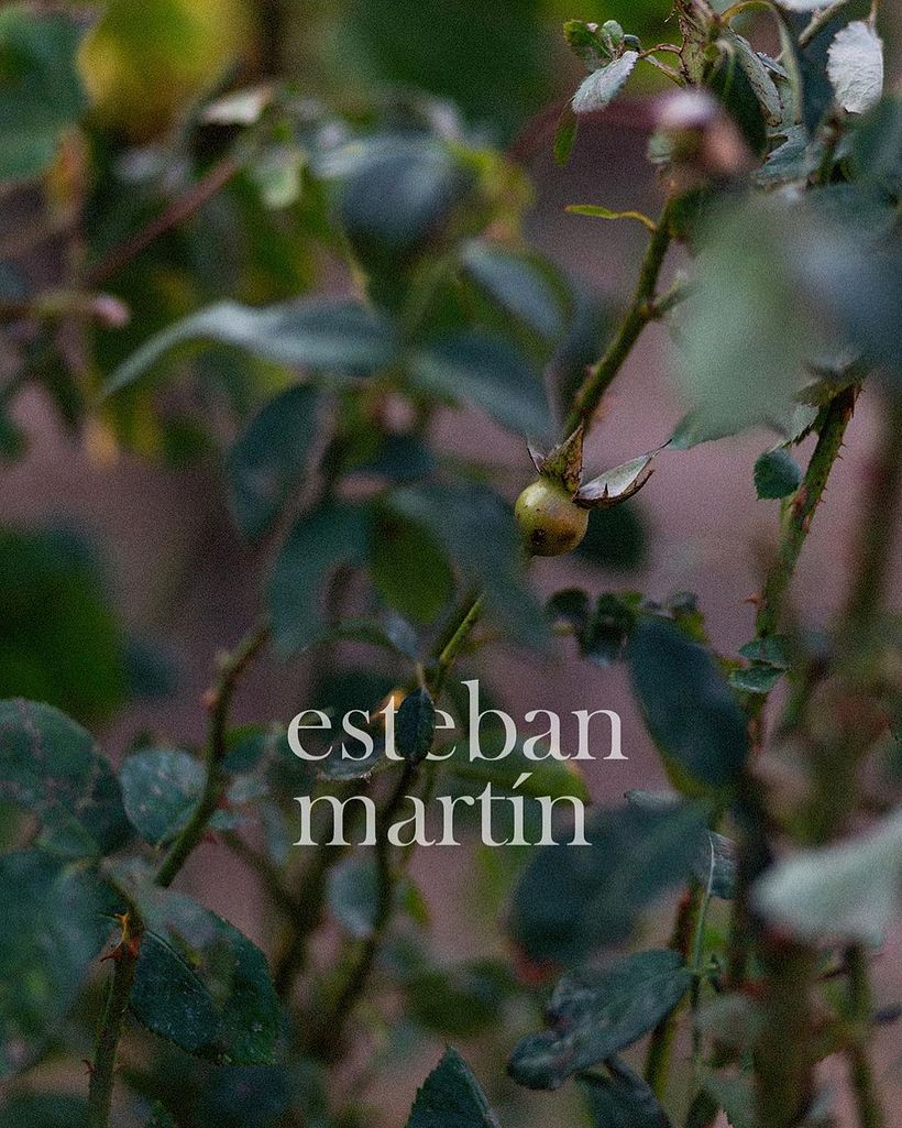 Bodegas Esteban Martín 2