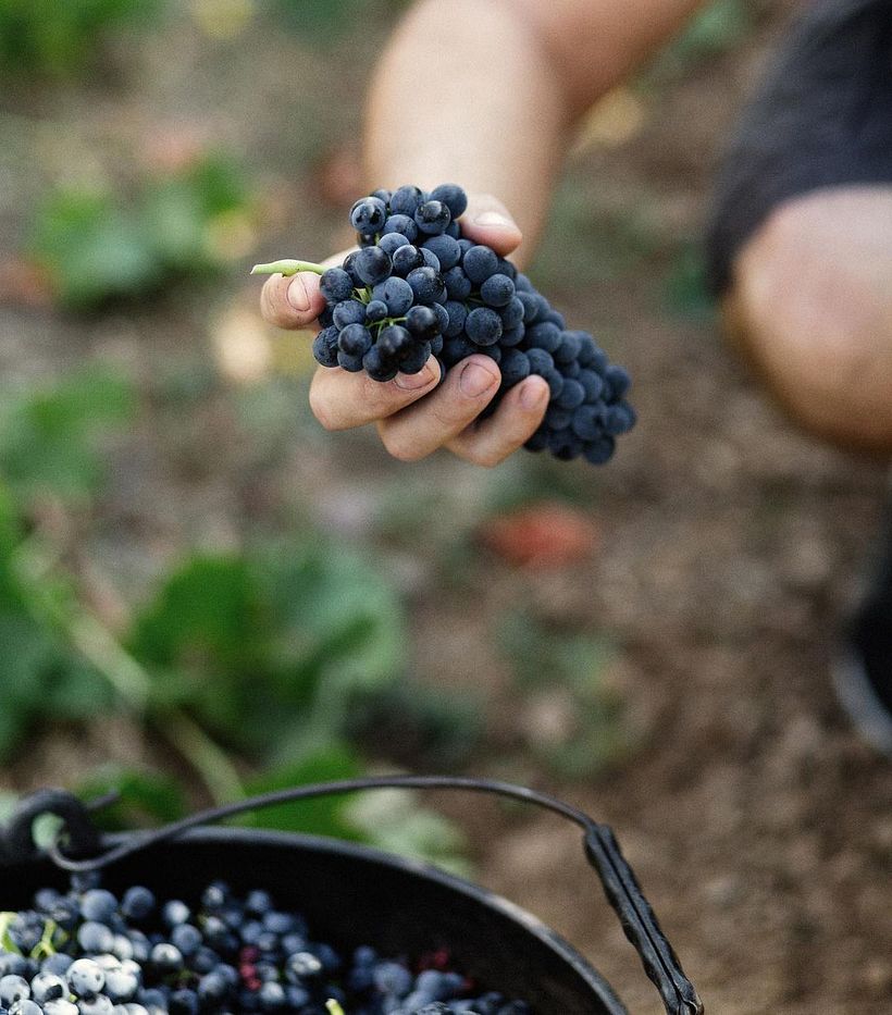 Bodegas Esteban Martín 5
