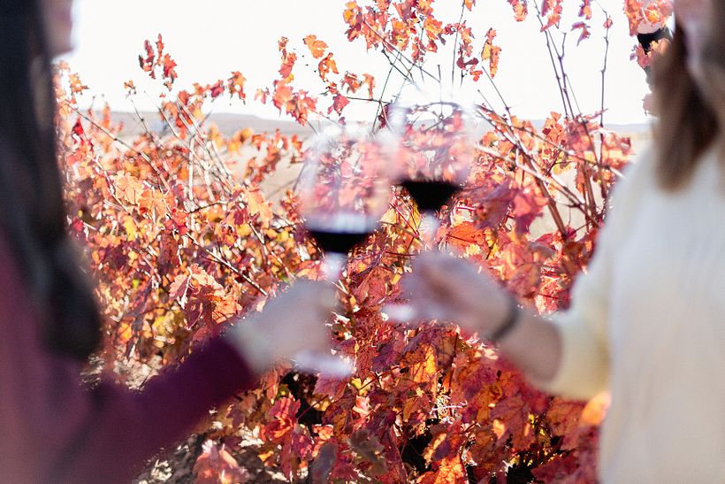 Bodegas Esteban Martín 15