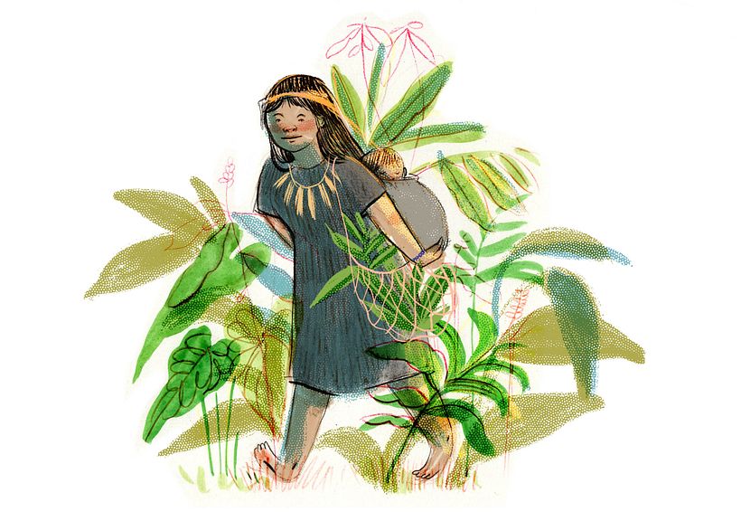 HISTORIAS ANCESTRALES U'WA 4