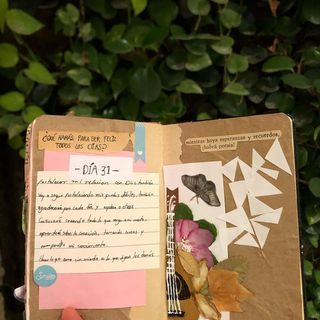 Mi Proyecto del curso: Técnicas básicas de prensado botánico 1