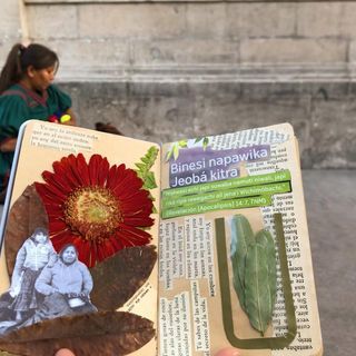 Mi Proyecto del curso: Técnicas básicas de prensado botánico 2