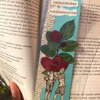 Mi Proyecto del curso: Técnicas básicas de prensado botánico 5