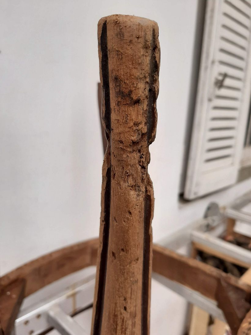 Lijé xq las quería lavadas, pero muchas de sus patas estaban asi mordidas, cuando las compré realmente no vi esto.. 