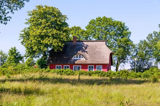 Referenzbild
