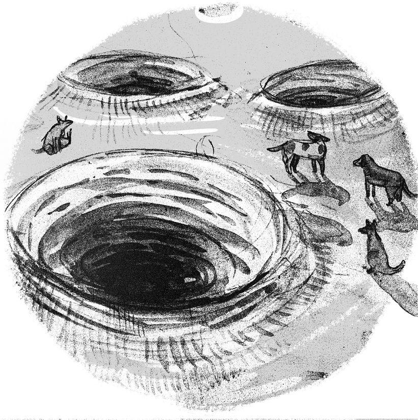 Geografías aleatorias 0