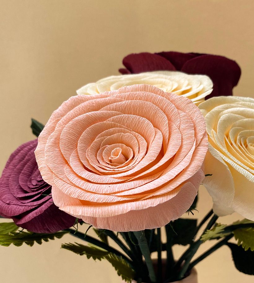 ROSE 