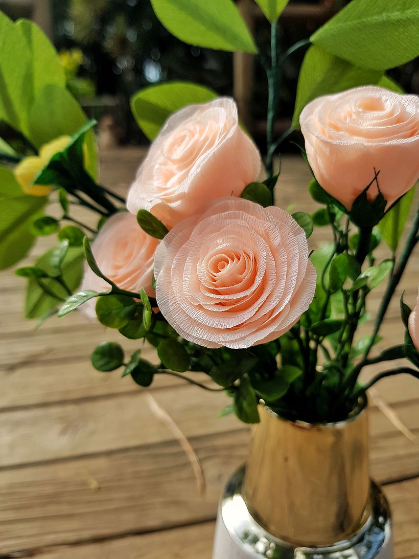 baby roses  - Diseño