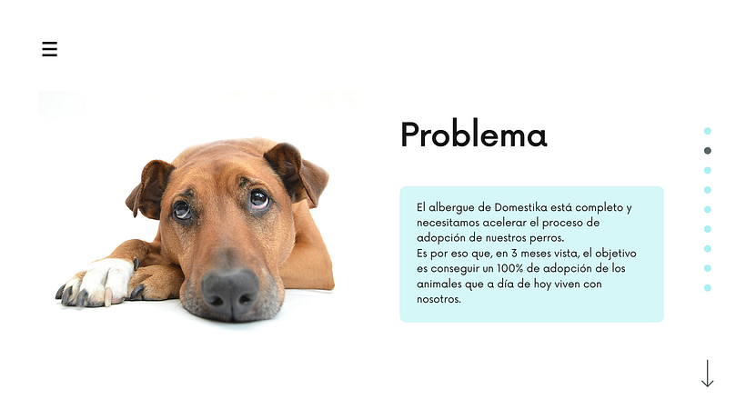 Mi Proyecto del curso: Creatividad publicitaria para todos los públicos - WoofVibes 1