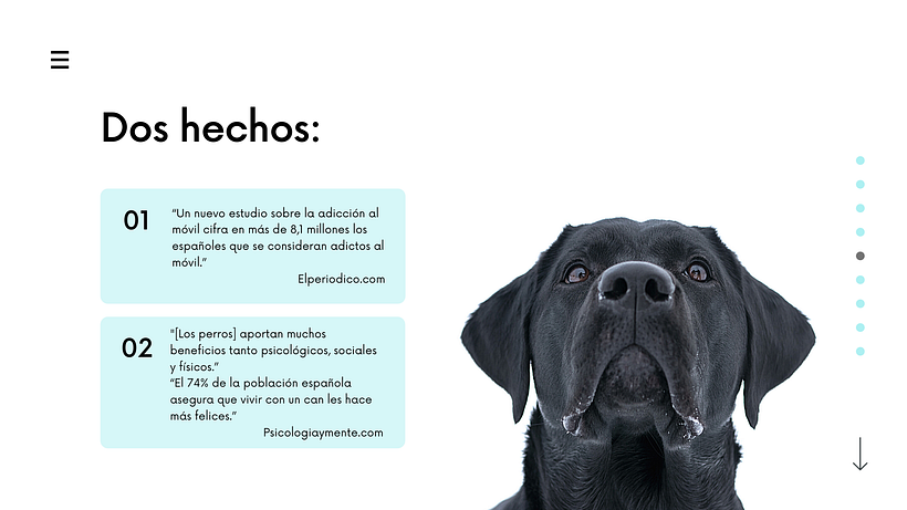 Mi Proyecto del curso: Creatividad publicitaria para todos los públicos - WoofVibes 5