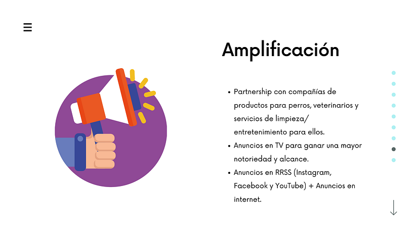 Mi Proyecto del curso: Creatividad publicitaria para todos los públicos - WoofVibes 8