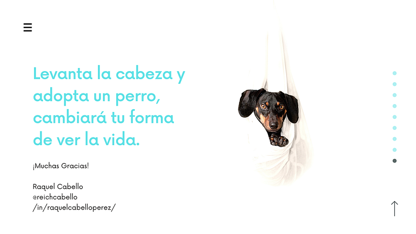 Mi Proyecto del curso: Creatividad publicitaria para todos los públicos - WoofVibes 9