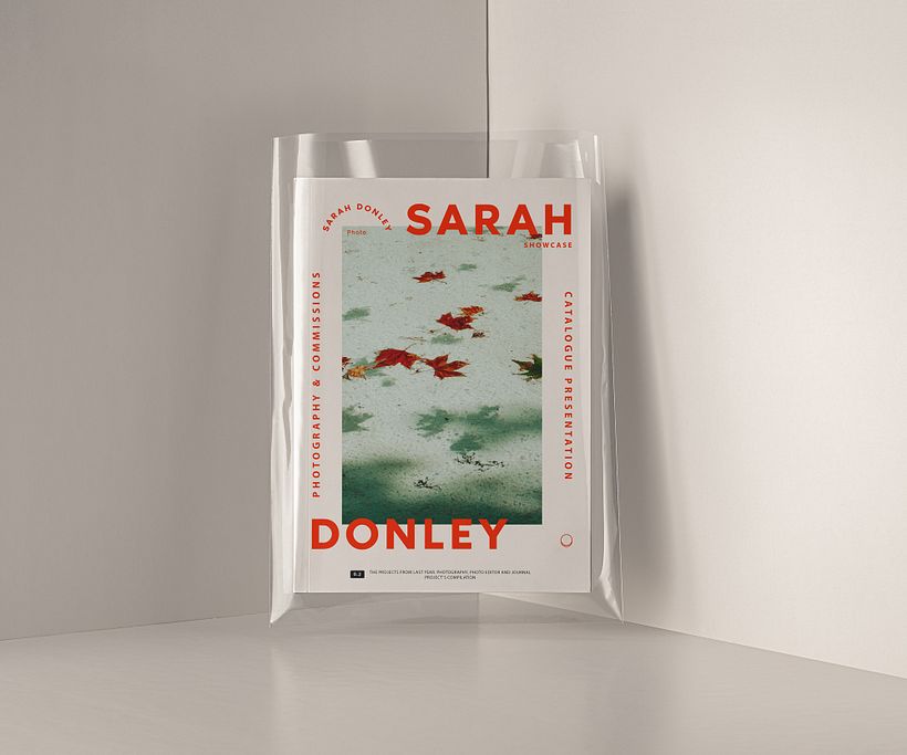 Sarah Donley 6