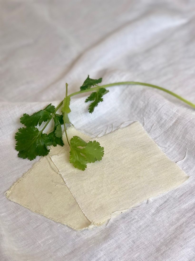 Mi Proyecto del curso: Teñido textil con pigmentos naturales 3