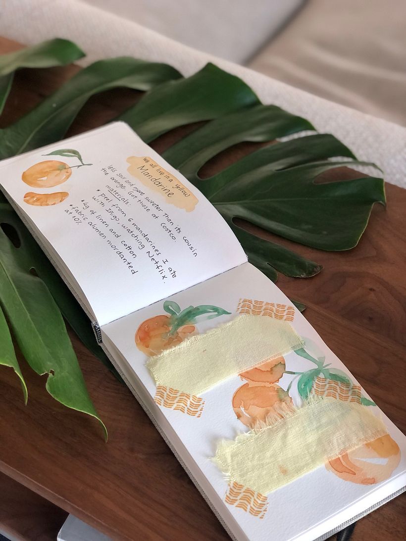 Mi Proyecto del curso: Teñido textil con pigmentos naturales 7