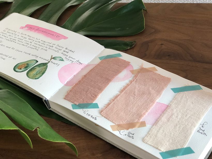 Mi Proyecto del curso: Teñido textil con pigmentos naturales 8