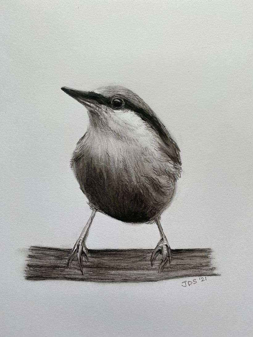First attempt using charcoal pencils....so much easier when shown how to use them...thanks Sarah