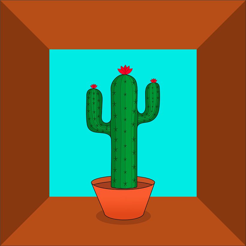 Cactus, didujo con adobe illustrator