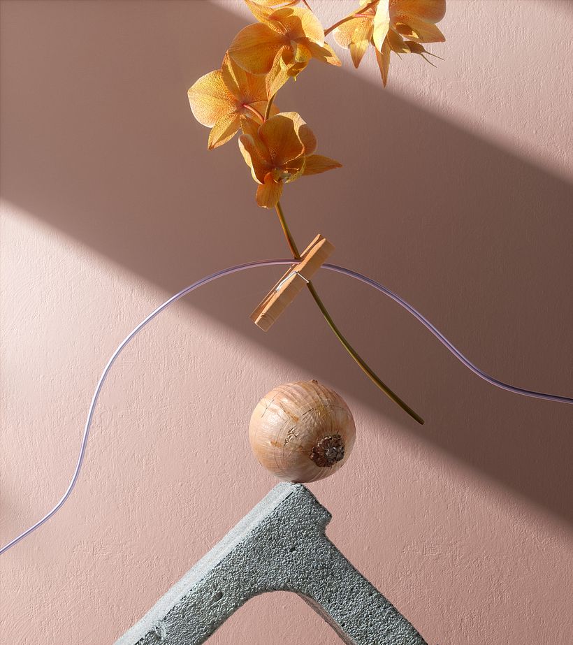 Detalle/ Close Up 