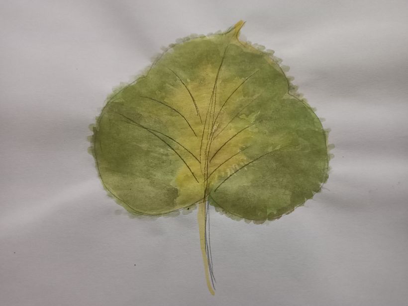 My project in Botanical Illustration with Watercolors course 0