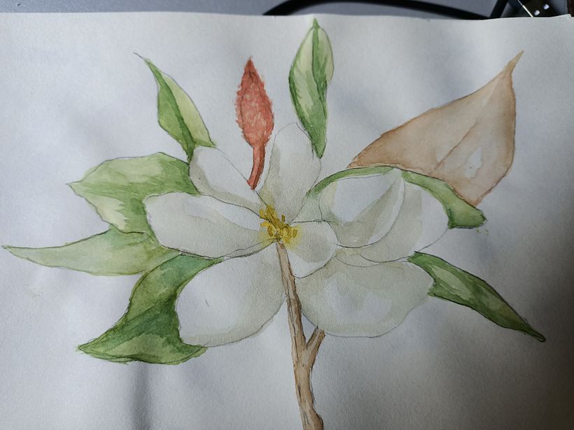 My project in Botanical Illustration with Watercolors course 2