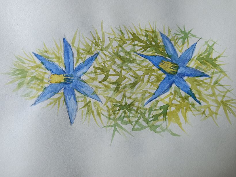 My project in Botanical Illustration with Watercolors course 3