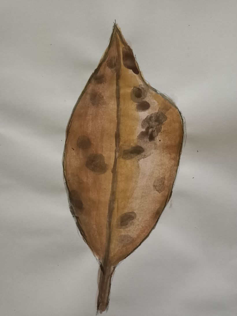My project in Botanical Illustration with Watercolors course 4