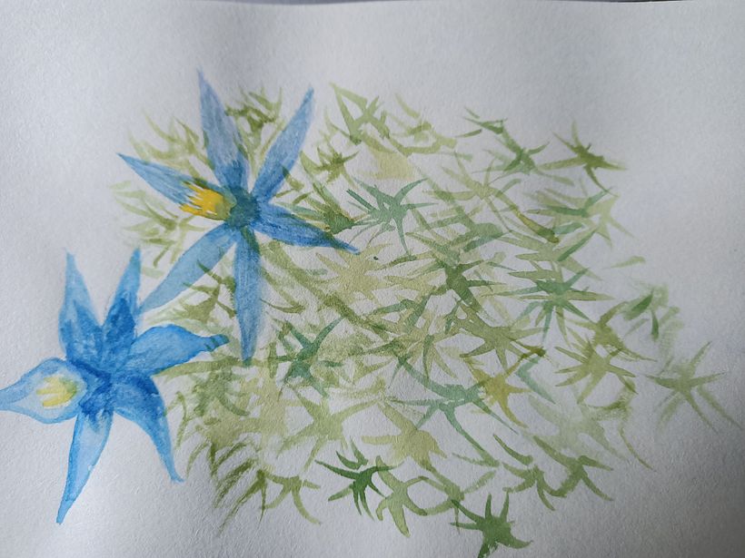 My project in Botanical Illustration with Watercolors course 5