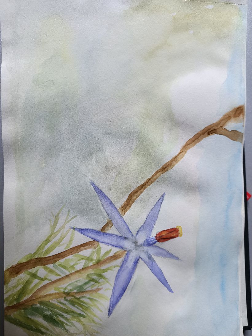 My project in Botanical Illustration with Watercolors course 6