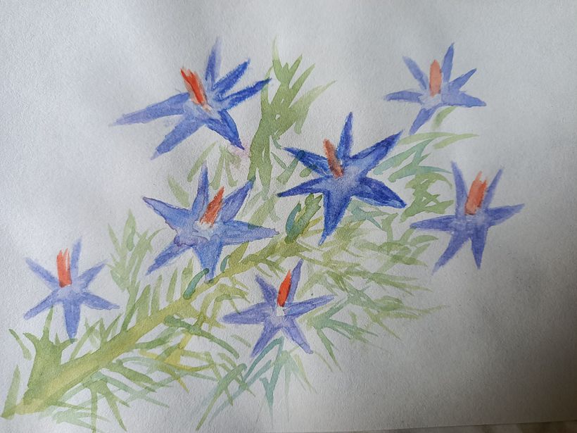 My project in Botanical Illustration with Watercolors course 7