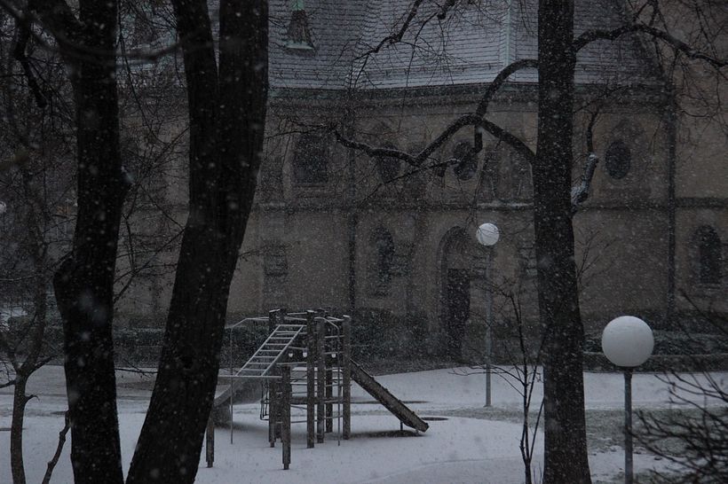 How to photograph falling snow (on an early, dark morning)? I tried many times, believe me! ISO 1600, f/5.6, 1/500