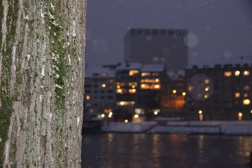 Used flash! ISO 3200, f/5.6, 1/30