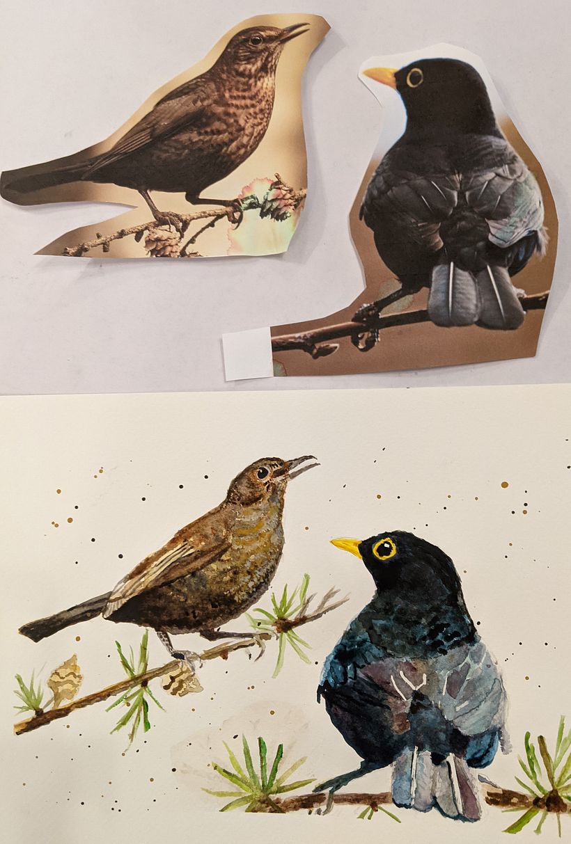 Black birds.