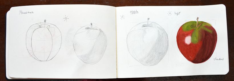 My project in Botanical Watercolor Sketchbook - Nora (Herli18) 6