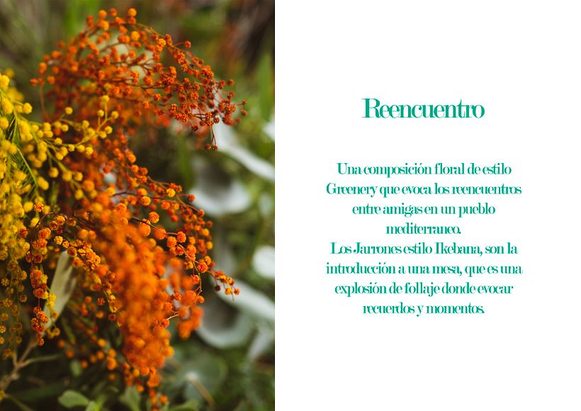 Mi Proyecto del curso: Reencuentro 1