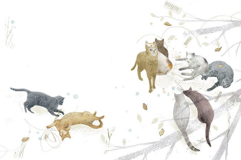 Libro El secreto de los gatos 0