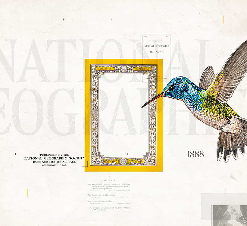 National Geographic Vintage Tote Bag -1