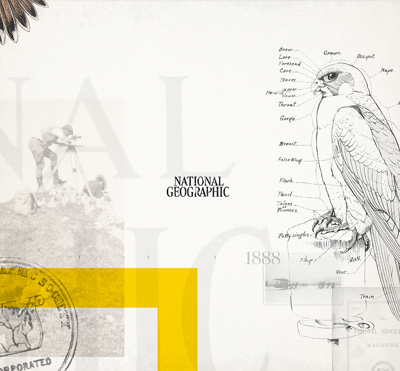 National Geographic Vintage Tote Bag 1