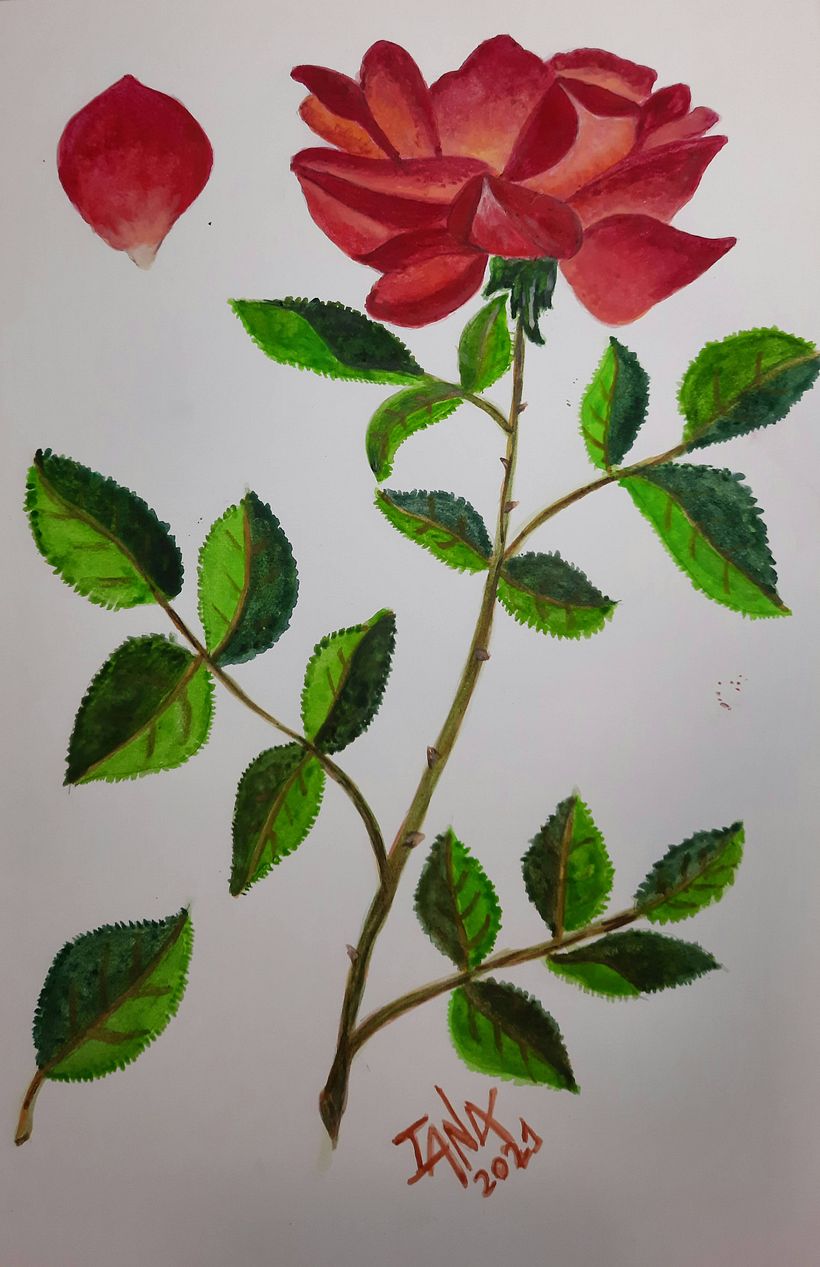 Mis primeras  producciones  en acuarelas.   Aún  queda  mucho  por  aprender!!!🤗