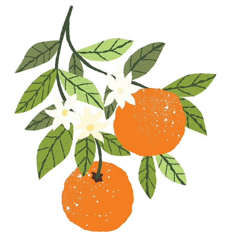 Serie de ilustraciones de alimentos de Melanie Chadwick.