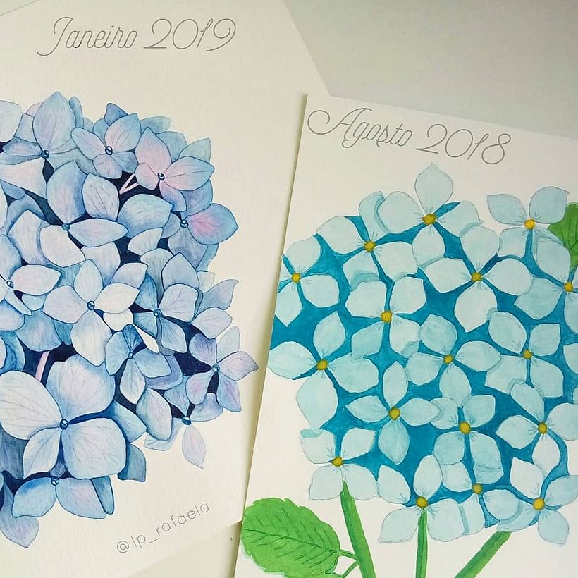 Principais trabalhos em aquarela 13