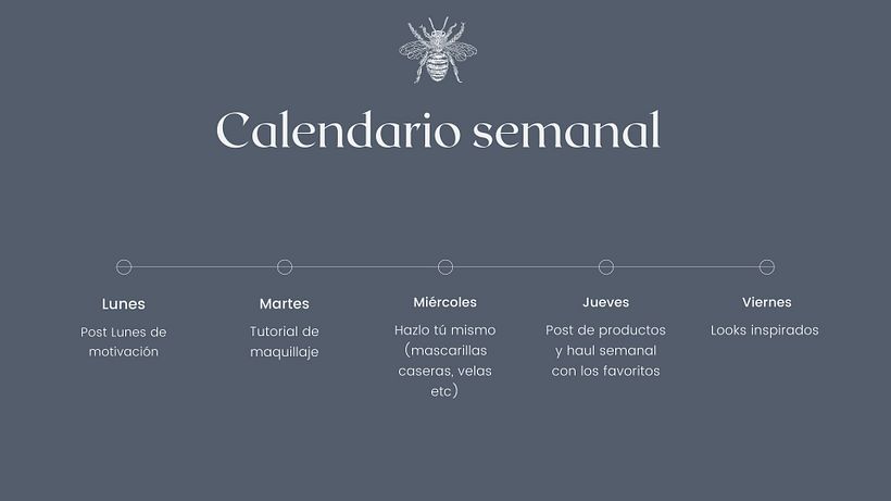 Mi Proyecto del curso: Introducción al community management 4